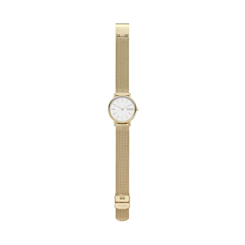 Skagen Women's Signatur Quartz Analog Stainless Steel And Stainless Steel Mesh Watch, Color: Gold / White (Model: Skw2693) #TOP2