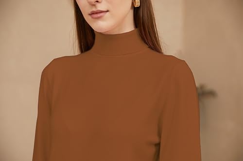 Image of DAIMIDY Turtleneck Sweaters for Women Long Sleeve Pullover Tops | Knitted Material| Soft, Warm and Breathable| High Resilience and Tensile Strength Design| Business Casual Tops| Dailywear