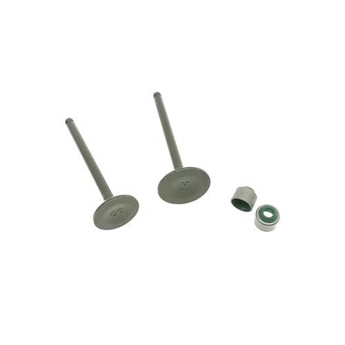 Joint d'huile de soupape admission échappement moteur Moto 115 pièce étanchéité