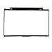 Wzqrps Replacement Laptop LCD Cover Back Rear Top Lid Hinges Front Bezel for Lenovo ideapad 5 15IIL05 15ARE05 15ITL05 15ALC05 5-15IIL05 5-15ARE05 5-15ITL05 5-15ALC05 5CB0X56073 5CB0Z31048 (Gray)