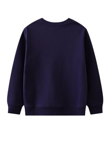 Boys Sweatshirts Casual Sweatshirts Cotton Sweatshirts Long Sleeve T-shirts Crew Neck Cartoon Tops for Boys-1482