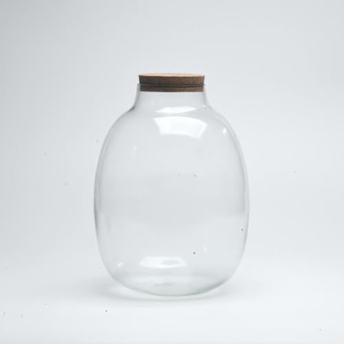 10″ Oakley Closed Terrarium Glass Jar | DIY Glass Jar with Cork L...