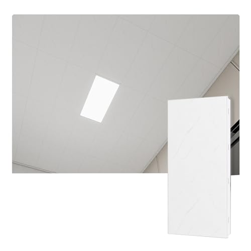 Pannello per soffitto in alluminio, rivestimento decorativo per cucina, bagno, cantina, foglio grigio liscio (30 x 60 cm, 1 pezzo), ideale per interni di casa e ufficio