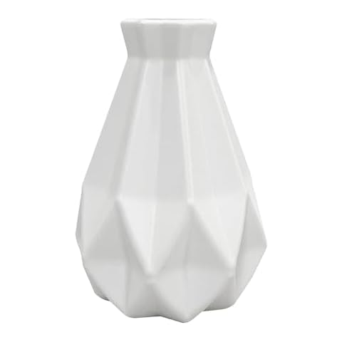 Vase en plastique DHSBGWSX Cover