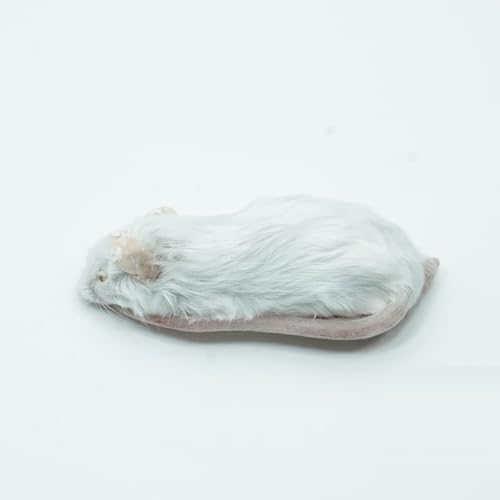 冷凍マウス ホッパー(10?13g)×10匹 爬虫類・猛禽類 餌 ヘビ ボールパイソン コーンスネーク フクロウ 冷凍餌【yaneurat】