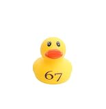 67 Personalized Yellow Rubber Ducks