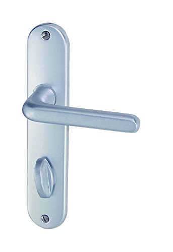 DT 2000 708840 Tignes Poignée de porte sur plaque Alu condamnation 165 mm Argent Cover