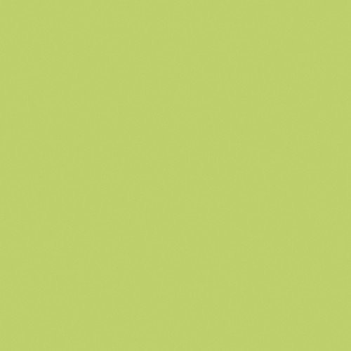 20 serviettes unicolor Anise Green – Vert/uni/uni 33 x 33 cm