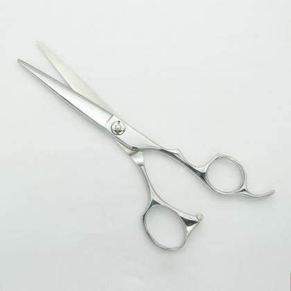 Amazon.co.jp: Professional series Transform CA シザー 600/ 美容師