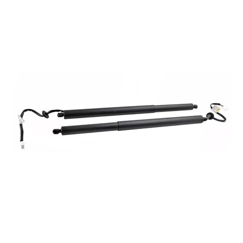 Vérins de hayon électrique 905614BA4A pour Nissan Rogue J11 T32 2014-2019