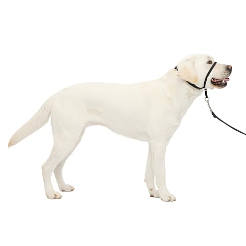 PetSafe - Collare a cavezza Easy Walk per cani di taglia grande (L), comoda, anti-trazione, con guinzaglio in nylon (incluso) - Nero