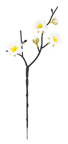 sG}t~XvC zCg FLS5317WHHI ~XvC ~  E ~  A[gt[ XvC G}