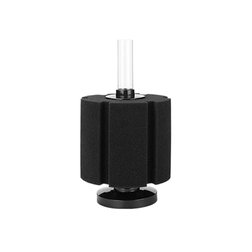 poCIX|WtB^[ - tAx^AGrAArɍœK(SG 2813)