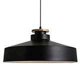 Le corps de la lampe en fer peint est fabriqué artisanalement à partir de matériaux nobles grâce à un procédé de finition complexe. Sa couleur est intense, sa résistance à la corrosion et à la rouille lui assure une longue durée de vie, comme au premier jour. Le support de lampe en bois massif est solidement fixé à la lampe, ce qui facilite l'installation et garantit une utilisation en toute sécurité.