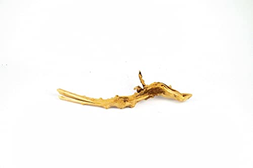 Spiderwood | 10-30 cm 20-30 cm - Afbeelding 6