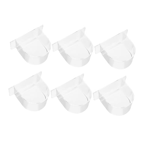 CAXUSD 6  ̉a Ȓ̃{E ̉atANZT[ ̐ o[htB[_[fBbV ybg̒̋ ̉a vX`bN Transparent