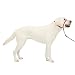 PetSafe Gentle Leader Head Collar with Training DVD, LARGE 60-130 LBS., RASPBERRY PINK