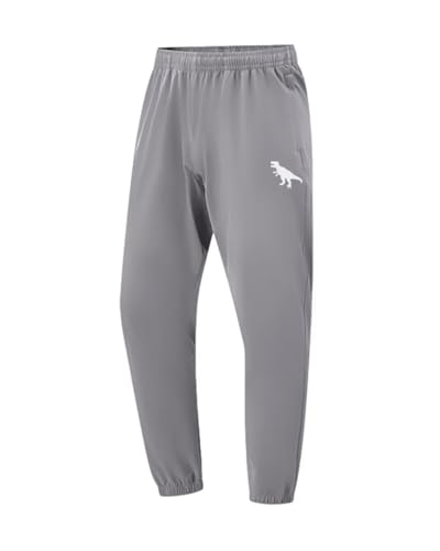 BINPAW 3 Pack Toddler Boys Active Pants Pull-On Sweatpants Dinosaur Graphic Print Jogger Pants 3-14 Y3