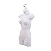 SSWBasics Female Mannequin Torso - Fits Women’s Sizes 5-10 - Molded, Shatterproof & White
