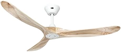 CasaFan Eco Genuino Ventilateur de plafond à économie d'énergie a...