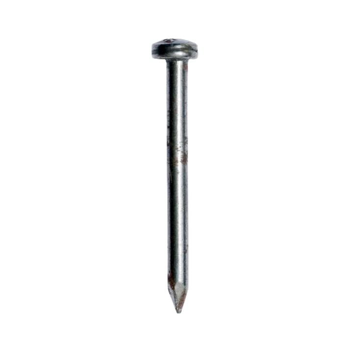 Stainless Steel Nails/Keel for Buildings, Hanging Frame, Home, Furniture, Ghar Ki Shanti (3 Inch, 20)-image-6