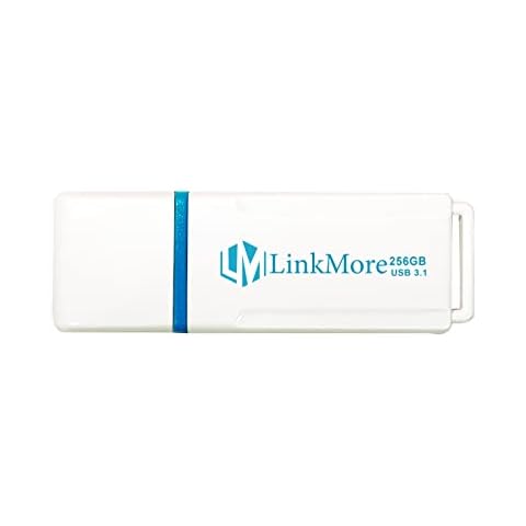 LinkMore NR34 256GB USB 3.1 Gen2x1 Flash Drive, Read Speed up to 120MB/s, Write Speed up to 60MB/s, Thumb Drive Cover