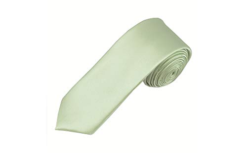 Solid Light Sage Green Skinny Men s Necktie