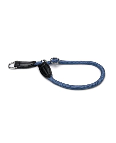 lionto Collare per Cani Collare Retriever Collare da addestramento, Lunghezza 60 cm Blu