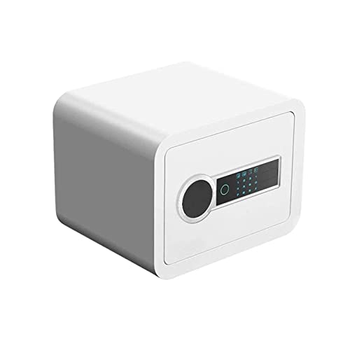 Armoire de rangement électronique à 2 couches avec code et clés