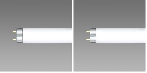 �z�^���N�X(HotaluX) NEC���C�e�B���O NEC FL6D (× 2)