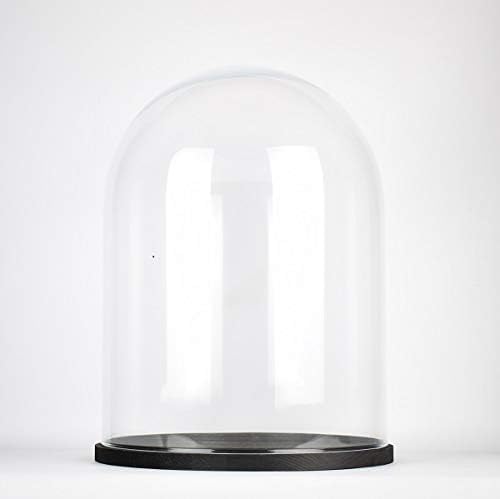 EMH Handmade Clear Circular Large Glass Display Cloche Dome with Black Wooden Base 36 x 25 cm