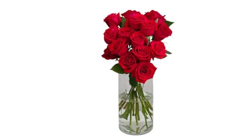 FLORES SOLIDARIAS - Ramos de Flores Naturales Rosas Rojas - Ramo Fresco de Calidad para Regalo, San Valentín, Día de la Madre, Bodas, Aniversarios, Cumpleaños y Decoración del Hogar