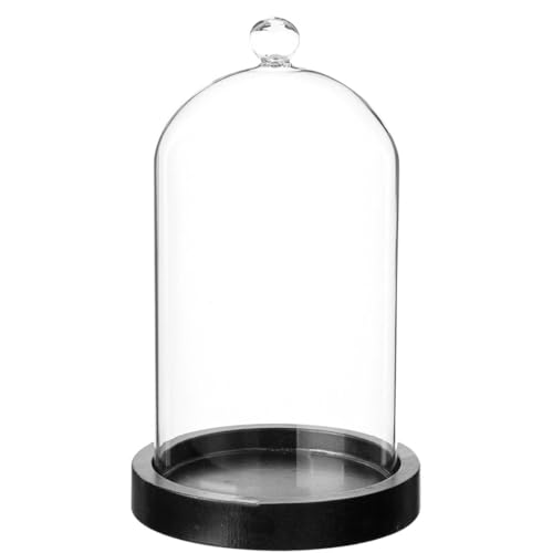Atmosphera - Cloche Verre et Bois - Transparent - H19 cm