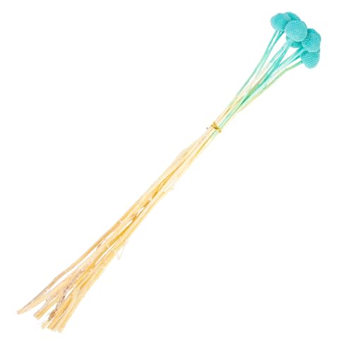 Ramo de flores secas Dried Craspedia natural, 10 tallos miniatura 1