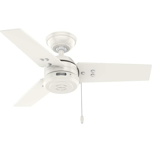 Hunter 36 Cassius Indoor/Outdoor Ceiling Fan Pull Chain Fresh White