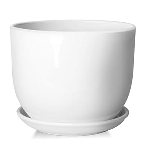 Amazon.co.jp: 鉢 - 鉢・プランター用品: DIY・工具・ガーデン