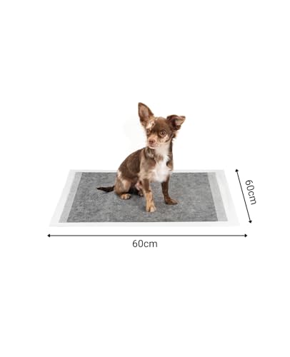 lionto Kohlefaser Welpenunterlagen, 6-lagige Trainingspads für Hunde mit Klebestreifen, 60x60 cm, 50 STK., auslaufsicher & robust, hohe Saugfähigkeit für kranke & inkontinente Tiere, schwarz/weiß
