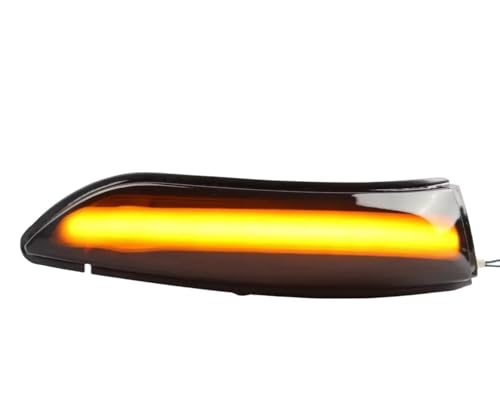 Clignotant LED rétroviseur à défilement séquentiel pour Classe A A180 B180 W169