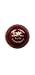 selmens Cricket Leather Ball, 22.4-22.9 cm Circumference, Cork Core, Leather Cover