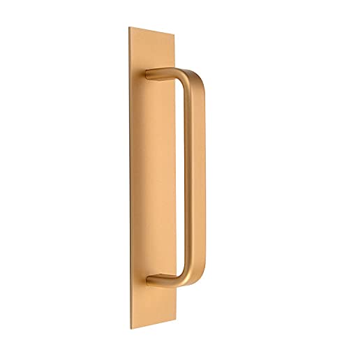 Poignée de porte coupe-feu or mat en aluminium chic