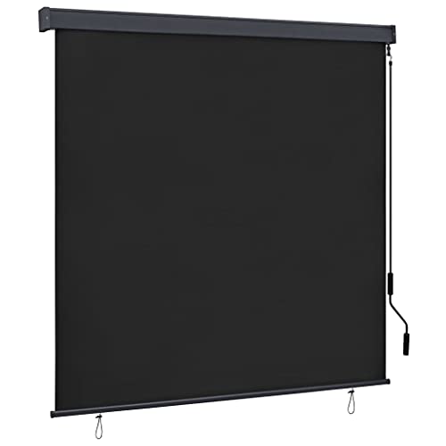 INLIFE Außenrollo 160x250 cm Anthrazit Markise