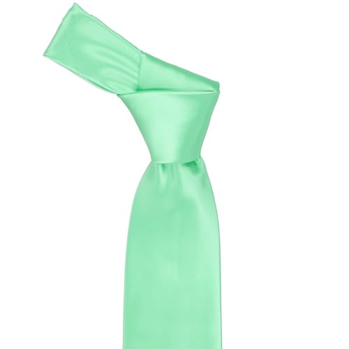 Image of tiemart Premium Solid Color Necktie