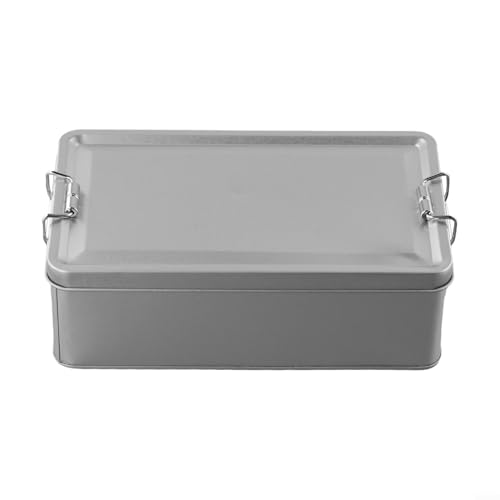 Gdfnmogo Caja de lata de metal, latas de almacenamiento de metal de hojalata, contenedor de té, caja de galletas rectangular con tapas para almacenar galletas, pasteles de copo de nieve (L)