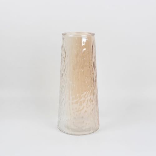 Image of WoodenStreet Decorative Glass Vase for Flowers Plants,Home Decor,Office Living Table Decorations.