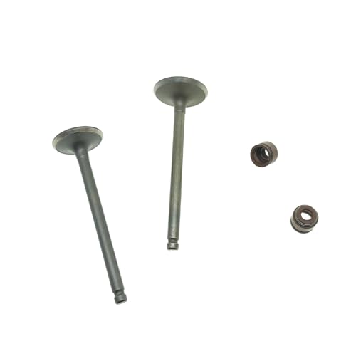Joint d'huile tige d'admission QS125T-2 pièces moteur de rechange 125cc