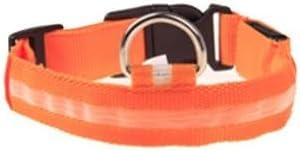 Super reflective light up rechargeable LED dog collars, 5 options in 3 sizes. Adjustable