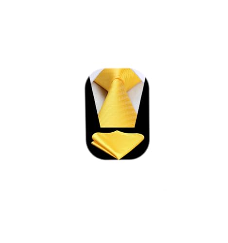 HISDERN Cravate Homme Jaune Cravates et Pochette Mariage Élégant Ensemble de Cravate Mouchoir