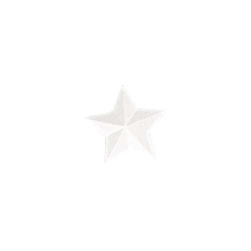 Rayher Etoile de noël en polystyrène pour décoration de noël, 15 cm, 3325600
