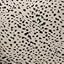 Cheetah Spot
