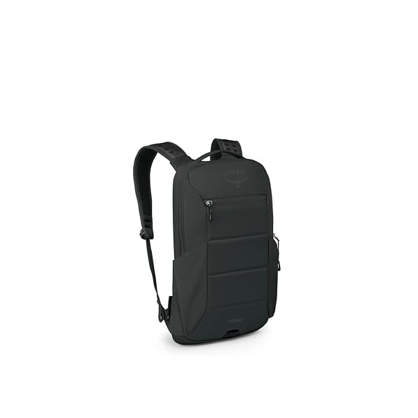 Osprey Ozone Slim Pack - Lightweight Laptop Backpack with AirScape Suspension, Water Bottle Pockets & Slim Travel Design - Fits Most 16" Laptops - Personal Item or Carry-On Compatible, Black